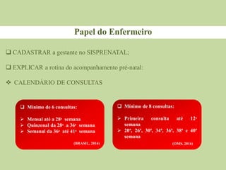  CADASTRAR a gestante no SISPRENATAL;
 EXPLICAR a rotina do acompanhamento pré-natal:
 CALENDÁRIO DE CONSULTAS
Papel do Enfermeiro
 Mínimo de 6 consultas:
 Mensal até a 28ᵃ semana
 Quinzenal da 28ᵃ a 36ᵃ semana
 Semanal da 36ᵃ até 41ᵃ semana
(BRASIL, 2016)
 Mínimo de 8 consultas:
 Primeira consulta até 12ᵃ
semana
 20ª, 26ª, 30ª, 34ª, 36ª, 38ª e 40ª
semana
(OMS, 2016)
 