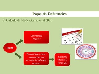 Papel do Enfermeiro
2. Cálculo da Idade Gestacional (IG):
DUM
Conhecida/
Regular
Desconhece a data,
mas conhece o
período do mês que
ocorreu
Início: 05
Meio: 15
Final: 25
 