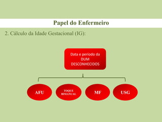 Papel do Enfermeiro
2. Cálculo da Idade Gestacional (IG):
AFU USG
Data e período da
DUM
DESCONHECIDOS
MF
TOQUE
BIMANUAL
 
