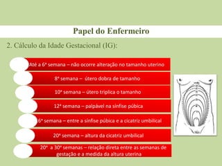 Papel do Enfermeiro
2. Cálculo da Idade Gestacional (IG):
Até a 6ᵃ semana – não ocorre alteração no tamanho uterino
8ᵃ semana – útero dobra de tamanho
10ᵃ semana – útero triplica o tamanho
12ᵃ semana – palpável na sínfise púbica
16ᵃ semana – entre a sínfise púbica e a cicatriz umbilical
20ᵃ semana – altura da cicatriz umbilical
20ᵃ a 30ᵃ semanas – relação direta entre as semanas de
gestação e a medida da altura uterina
 