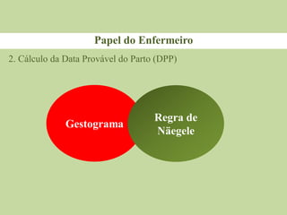 Papel do Enfermeiro
2. Cálculo da Data Provável do Parto (DPP)
Gestograma
Regra de
Näegele
 