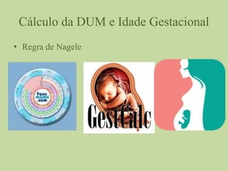 Cálculo da DUM e Idade Gestacional
• Regra de Nagele
 