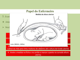 Papel do Enfermeiro
5. Exame Físico Específico
 Abdome
 Medida da Altura uterina
1. Posicionar a gestante em decúbito dorsal – abdome descorberto
2. Delimite o fundo uterino e a borda superior da sínfise púbica
3. Fixar a extremidade da fita métrica na primeira e deslizá-la com a borda
cubital da mão pela linha mediana do abdome até a altura do fundo uterino
4. Anote a medida na ficha e no cartão e marcar o ponto na curvada altura
uterina
 