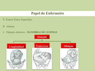 Papel do Enfermeiro
5. Exame Físico Específico
 Abdome
 Palpação obstétrica – MANOBRAS DE LEOPOLD
Situação
Transverso
Longitudinal Oblíquo
 