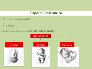 Papel do Enfermeiro
5. Exame Físico Específico
 Abdome
 Palpação obstétrica – MANOBRAS DE LEOPOLD
Apresentação
Pélvica
Cefálica Córmica
 