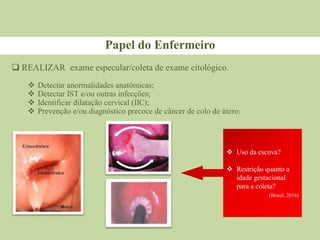  REALIZAR exame especular/coleta de exame citológico.
 Detectar anormalidades anatômicas;
 Detectar IST e/ou outras infecções;
 Identificar dilatação cervical (IIC);
 Prevenção e/ou diagnóstico precoce de câncer de colo de útero;
Papel do Enfermeiro
 Uso da escova?
 Restrição quanto a
idade gestacional
para a coleta?
(Brasil, 2016)
 