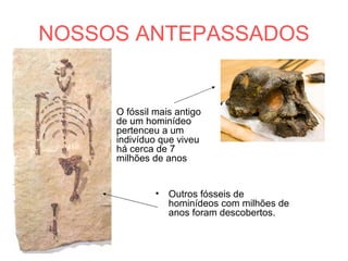 NOSSOS ANTEPASSADOS
• O fóssil mais antigo
de um hominídeo
pertenceu a um
indivíduo que viveu
há cerca de 7
milhões de anos
• Outros fósseis de
hominídeos com milhões de
anos foram descobertos.
 