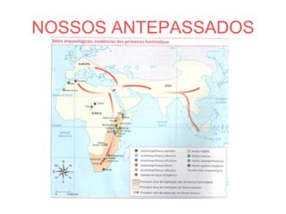 NOSSOS ANTEPASSADOS
 