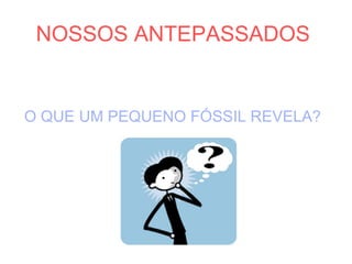 NOSSOS ANTEPASSADOS
O QUE UM PEQUENO FÓSSIL REVELA?
 