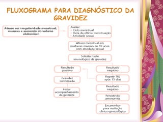 FLUXOGRAMA PARA DIAGNÓSTICO DA
GRAVIDEZ
 