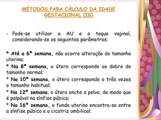 - Pode-se utilizar a AU e o toque vaginal,
considerando-se os seguintes parâmetros:
* Até a 6ª semana, não ocorre alteração do tamanho
uterino;
* Na 8ª semana, o útero corresponde ao dobro do
tamanho normal;
* Na 10ª semana, o útero corresponde a três vezes
o tamanho habitual;
* Na 12ª semana, o útero enche a pelve, de modo que
é palpável na sínfise púbica;
* Na 16ª semana, o fundo uterino encontra-se entre
a sínfise púbica e a cicatriz umbilical;
 