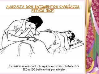 AUSCULTA DOS BATIMENTOS CARDÍACOS
FETAIS (BCF)
É considerada normal a freqüência cardíaca fetal entre
120 a 160 batimentos por minuto.
 