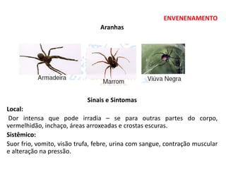 ENVENENAMENTO
Aranhas
Sinais e Sintomas
Local:
Dor intensa que pode irradia – se para outras partes do corpo,
vermelhidão, inchaço, áreas arroxeadas e crostas escuras.
Sistêmico:
Suor frio, vomito, visão trufa, febre, urina com sangue, contração muscular
e alteração na pressão.
 