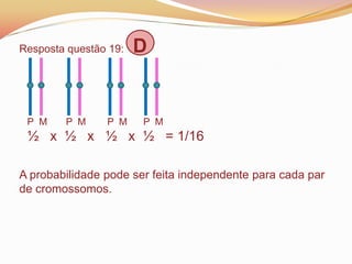 Resposta questão 19: D
P M P M P M P M
½ x ½ x ½ x ½ = 1/16
A probabilidade pode ser feita independente para cada par
de cromossomos.
 