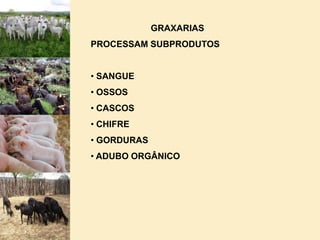 SEPARAÇÃO DE LOTES POR FORNECEDOR.