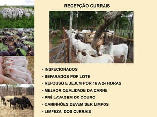  INSTALAÇÕES E EQUIPAMENTOS DE ABATE E DESOSSA PERFEITAMENTE LIMPOS E SANITIZADOS.