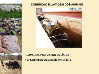  HIGIENE PESSOAL RIGOROSAMENTE  SOB CONTROLE