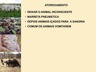  CONDIÇÕES DE VENTILAÇÃO, ILUMINAÇÃO, TEMPERATURA E EQUIPAMENTOS DE SEGURANÇA DE TRABALHO EM TODAS AS DEPENDÊNCIAS.  