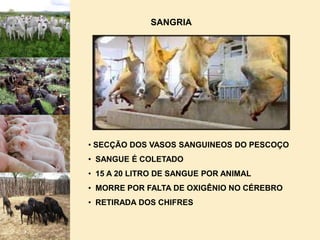  CAPTAÇÃO E TRATAMENTO DE ÁGUA, COM ANÁLISE QUÍMICA E MICROBIOLÓGICAS PERIÓDICAS.