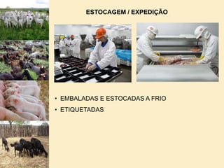  ADUBO ORGÂNICOABATE BOVINO