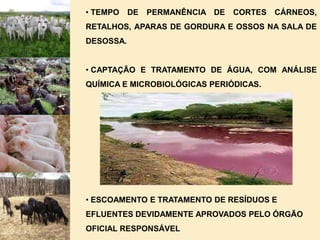 ITENS A SEREM VERIFICADOS NAS VISTORIAS INICIAIS E PERIÓDICAS CONDIÇÕES ADEQUADAS DE DESEMBARQUE.