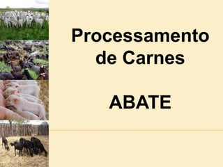 Processamento de Carnes ABATE 