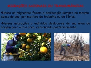 MIGRAÇÕES SAZONAIS OU TRANSUMÂNCIAS
•Nessa os migrantes fazem a deslocação sempre na mesma
época do ano, por motivos de trabalho ou de férias.
•Nessas migrações o indivíduo desloca-se de sua área de
origem para outra área, retornando posteriormente.
 
