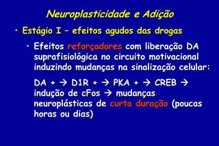 Neuroplasticidade e Adição
• Estágio I – efeitos agudos das drogas
  • Efeitos reforçadores com liberação DA
    suprafisiológica no circuito motivacional
    induzindo mudanças na sinalização celular:
    DA +  D1R +  PKA +  CREB 
    indução de cFos  mudanças
    neuroplásticas de curta duração (poucas
    horas ou dias)
 