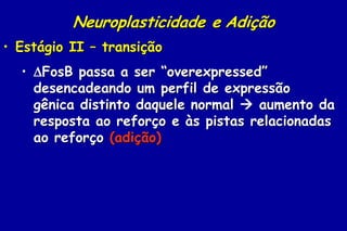 Neuroplasticidade e Adição
• Estágio II – transição
  • FosB passa a ser “overexpressed”
    desencadeando um perfil de expressão
    gênica distinto daquele normal  aumento da
    resposta ao reforço e às pistas relacionadas
    ao reforço (adição)
 