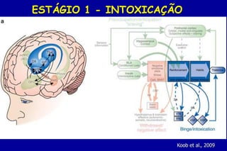 ESTÁGIO 1 - INTOXICAÇÃO




                      Koob et al., 2009
 