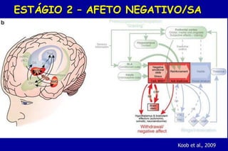 ESTÁGIO 2 – AFETO NEGATIVO/SA




                         Koob et al., 2009
 