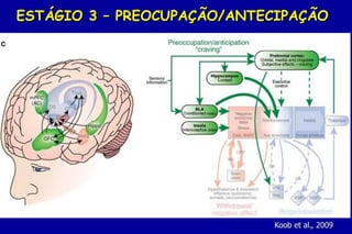 ESTÁGIO 3 – PREOCUPAÇÃO/ANTECIPAÇÃO




                            Koob et al., 2009
 