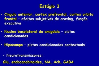 Estágio 3
• Cingulo anterior, cortex prefrontal, cortex orbito
  frontal – efeitos subjetivos de craving, função
  executiva

• Nucleo basolateral da amigdala – pistas
  condicionadas

• Hipocampo – pistas condicionadas contextuais

 • Neurotransmissores:
 Glu, endocanabinoides, NA, Ach, GABA
 