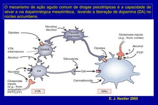 O mecanismo de ação agudo comum de drogas psicotrópicas é a capacidade de
ativar a via dopaminérgica mesolímbica, levando a liberação de dopamina (DA) no
núcleo accumbens.




                                                        E. J. Nestler 2005
 