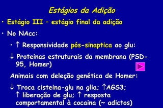 Estágios da Adição
• Estágio III – estágio final da adição
• No NAcc:
  •  Responsividade pós-sinaptica ao glu:
   Proteinas estruturais da membrana (PSD-
    95, Homer)
  Animais com deleção genética de Homer:
   Troca cisteina-glu na glia; AGS3;
     liberação de glu;  resposta
    comportamental à cocaina (~ adictos)
 