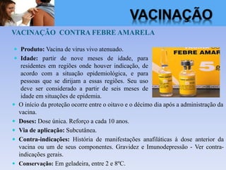 VACINAÇÃO CONTRA FEBRE AMARELA
 O início da proteção ocorre entre o oitavo e o décimo dia após a administração da
vacina.
 Doses: Dose única. Reforço a cada 10 anos.
 Via de aplicação: Subcutânea.
 Contra-indicações: História de manifestações anafiláticas à dose anterior da
vacina ou um de seus componentes. Gravidez e Imunodepressão - Ver contra-
indicações gerais.
 Conservação: Em geladeira, entre 2 e 8ºC.
 Produto: Vacina de virus vivo atenuado.
 Idade: partir de nove meses de idade, para
residentes em regiões onde houver indicação, de
acordo com a situação epidemiológica, e para
pessoas que se dirijam a essas regiões. Seu uso
deve ser considerado a partir de seis meses de
idade em situações de epidemia.
VACINAÇÃO
 