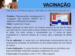 VACINA CONJUGADA CONTRA O MENINGOCOCO C
 Doses: aplicação de duas doses, em crianças menores de um ano de idade,
com intervalo de 2 meses entre as doses (mínimo de 30 dias), aos 3 e 5 meses
de idade. Um único reforço é recomendado aos 12 meses de idade,
respeitando-se o intervalo mínimo de 2 meses, após a aplicação da última
dose.
 Via de aplicação: A vacina deve ser administrada exclusivamente pela via
intramuscular profunda, de preferência na área ântero-lateral da coxa direita
da criança.
 Contra-indicações: A vacina não deve ser administrada em indivíduos com
hipersensibilidade conhecida a qualquer componente da vacina.
 Conservação: Em geladeira, entre 2 e 8ºC. (Não congelar)
 Produto: Oligossacarídeo meningocócico C,
Conjugado com proteína CRM197 do C.
diphteriae e Hidróxido de alumínio.
 Idade: A partir dos 2 meses
VACINAÇÃO
 