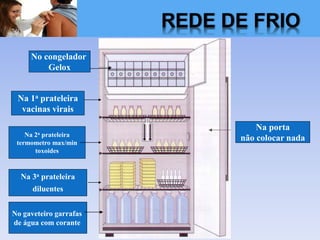 No congelador
Gelox
Na 1a prateleira
vacinas virais
Na 2a prateleira
termometro max/min
toxoides
Na 3a prateleira
diluentes
No gaveteiro garrafas
de água com corante
Na porta
não colocar nada
REDE DE FRIO
 