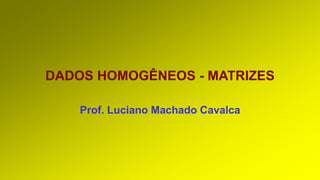 DADOS HOMOGÊNEOS - MATRIZES
Prof. Luciano Machado Cavalca
 