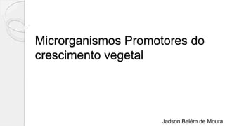 Microrganismos Promotores do
crescimento vegetal
Jadson Belém de Moura
 