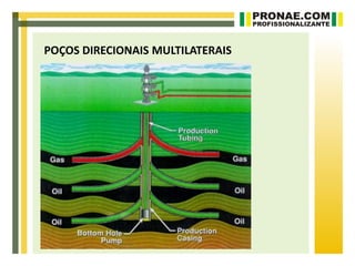 POÇOS DIRECIONAIS MULTILATERAIS
 