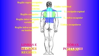 Aula Propedeutica técnico de enfermagem (1).docx