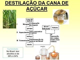 DESTILAÇÃO DA CANA DE
AÇÚCAR
Curiosidade:
No Brasil: teor
alcoólico é de
38% à 54%
 