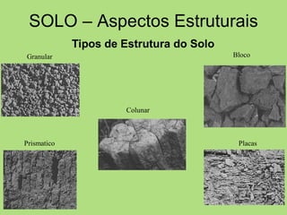 Tipos de Estrutura do Solo
Granular Bloco
Prismatico
Colunar
Placas
SOLO – Aspectos Estruturais
 