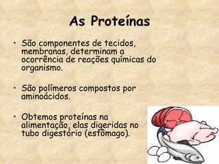 As Proteínas São componentes de tecidos, membranas, determinam a ocorrência de reações químicas do organismo. São polímeros compostos por aminoácidos. Obtemos proteínas na alimentação, elas digeridas no tubo digestório (estômago). 