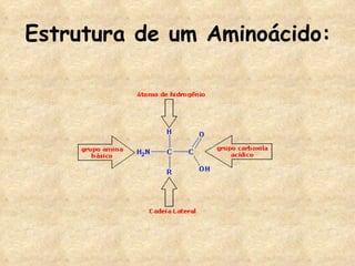 Estrutura de um Aminoácido: 