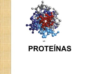 PROTEÍNAS
 