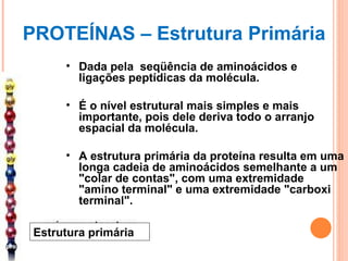 PROTEÍNAS – Estrutura Primária Dada pela  seqüência de aminoácidos e ligações peptídicas da molécula.   É o nível estrutural mais simples e mais importante, pois dele deriva todo o arranjo espacial da molécula.   A estrutura primária da proteína resulta em uma longa cadeia de aminoácidos semelhante a um "colar de contas", com uma extremidade "amino terminal" e uma extremidade "carboxi terminal".   Estrutura primária 