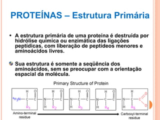PROTEÍNAS – Estrutura Primária A estrutura primária de uma proteína é destruída por hidrólise química ou enzimática das ligações peptídicas, com liberação de peptídeos menores e aminoácidos livres.   Sua estrutura é somente a seqüência dos aminoácidos, sem se preocupar com a orientação espacial da molécula. 