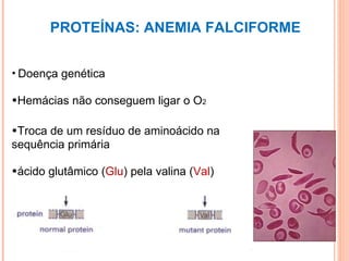 PROTEÍNAS: ANEMIA FALCIFORME Doença genética Hemácias não conseguem ligar o O 2 Troca de um resíduo de aminoácido na sequência primária ácido glutâmico ( Glu ) pela valina ( Val ) 